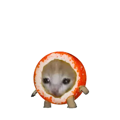 🍣 Стикер «котики напитки» для Telegram