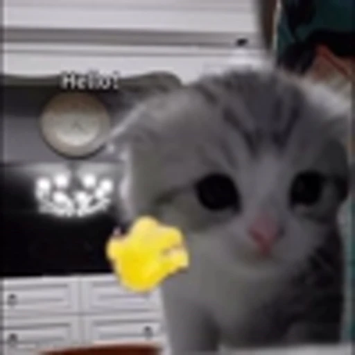 👋 Эмодзи «Cutie Cats» для Telegram