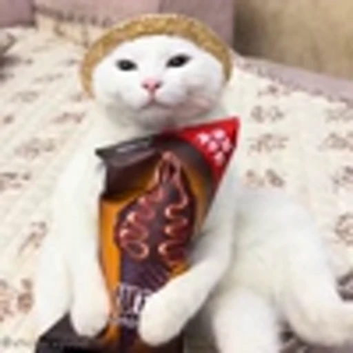 😋 Эмодзи «Cutie Cats» для Telegram