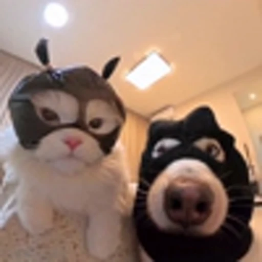 🥸 Эмодзи «Cutie Cats» для Telegram