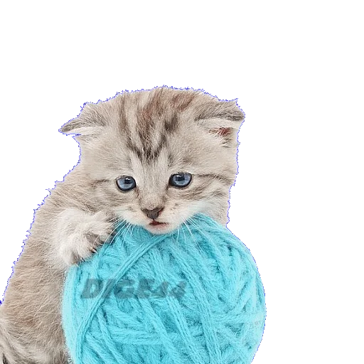 🧶 Стикер «CATSGATTIGATOS» для Telegram