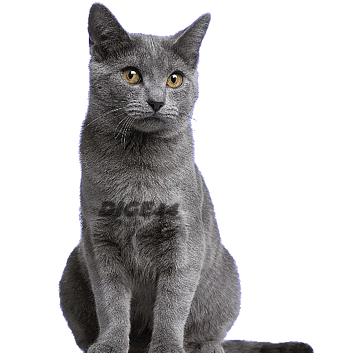 😁 Стикер «CATSGATTIGATOS» для Telegram