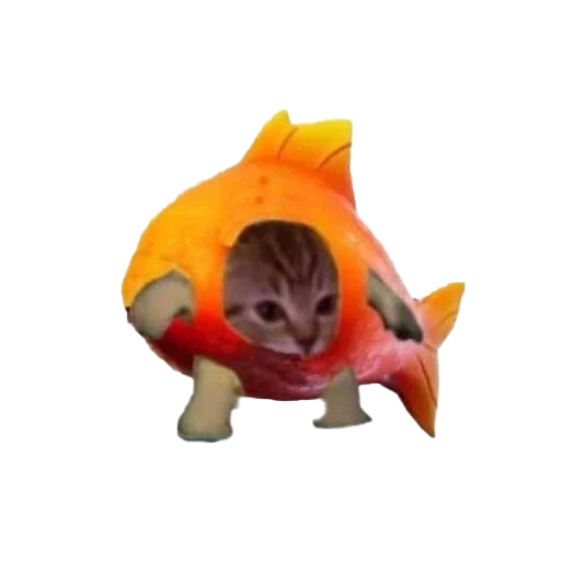 🐟 Стикер «к» для Telegram