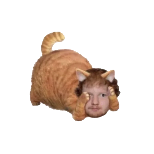 😸 Стикер «к» для Telegram