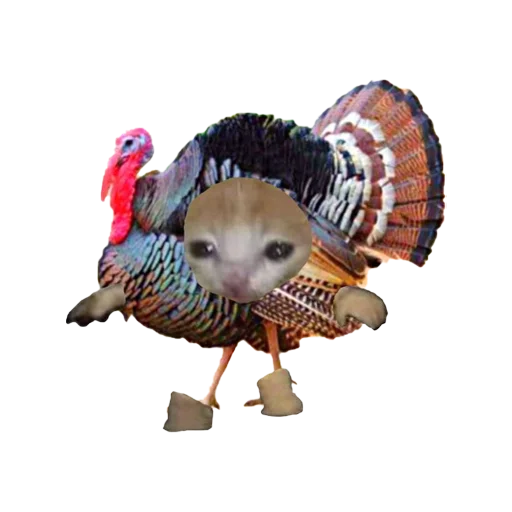 🦃 Стикер «к» для Telegram