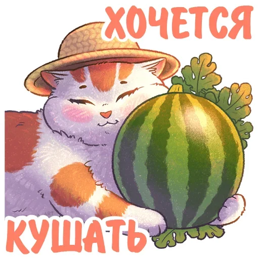 🍉 Стикер «Котики и фразочки» для Telegram