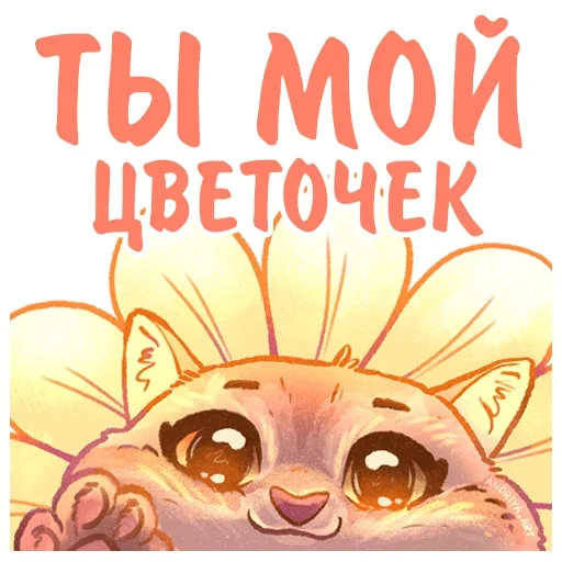 🌼 Стикер «Котики и фразочки» для Telegram