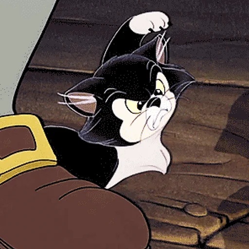 😾 Стикер «kis-kis-kis» для Telegram