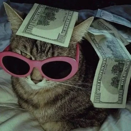 💸 Стикер «Memes cats» для Telegram