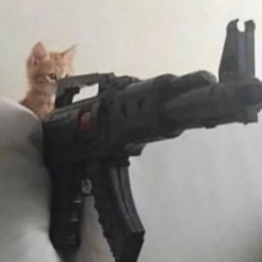 🔫 Стикер «Memes cats» для Telegram
