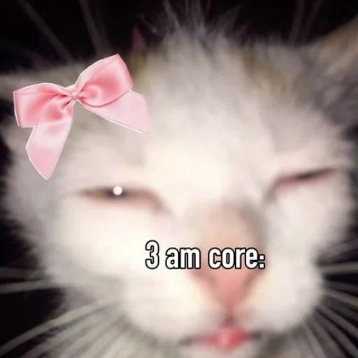 🥴 Стикер «Memes cats» для Telegram