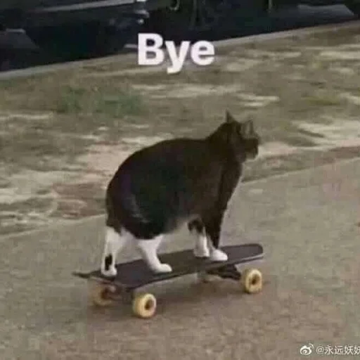 👋 Стикер «Memes cats» для Telegram