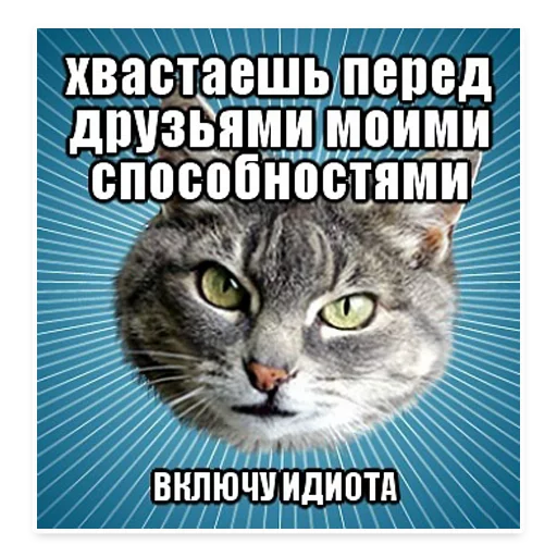 😕 Стикер «? Мемы с Котом» для Telegram