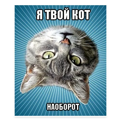 😋 Стикер «? Мемы с Котом» для Telegram