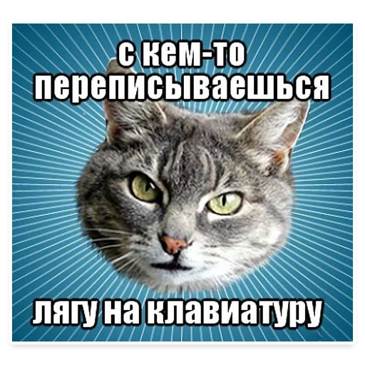 😡 Стикер «? Мемы с Котом» для Telegram
