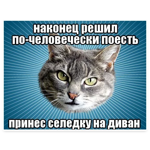 😄 Стикер «? Мемы с Котом» для Telegram