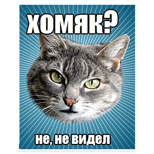 😋 Стикер «? Мемы с Котом» для Telegram