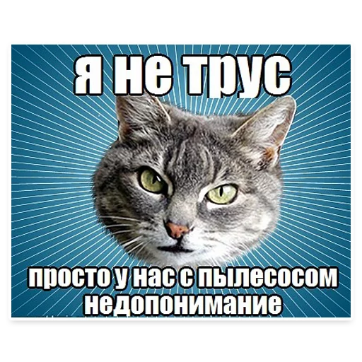 ☹️ Стикер «? Мемы с Котом» для Telegram