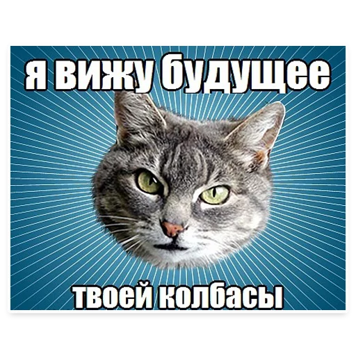 😛 Стикер «? Мемы с Котом» для Telegram