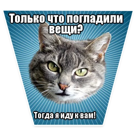 🐱 Стикер «? Мемы с Котом» для Telegram