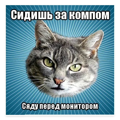😟 Стикер «? Мемы с Котом» для Telegram