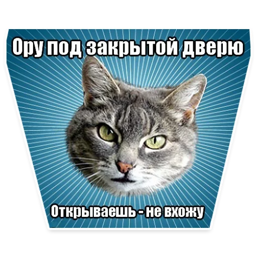 😉 Стикер «? Мемы с Котом» для Telegram