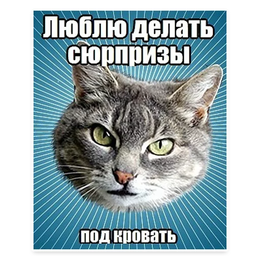 😋 Стикер «? Мемы с Котом» для Telegram