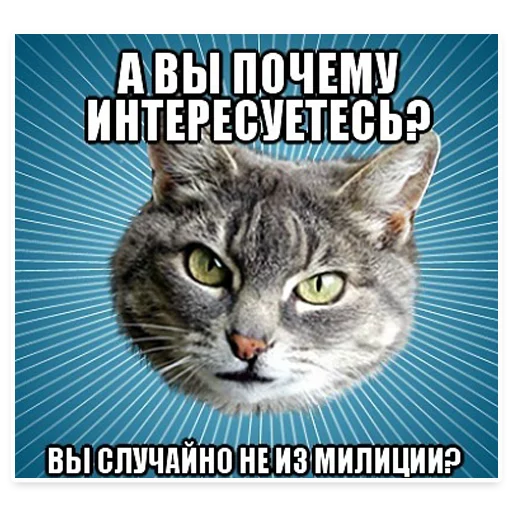 😅 Стикер «? Мемы с Котом» для Telegram