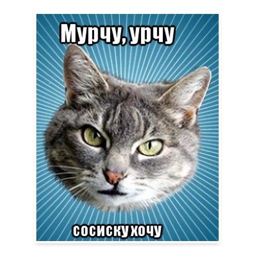 😙 Стикер «? Мемы с Котом» для Telegram