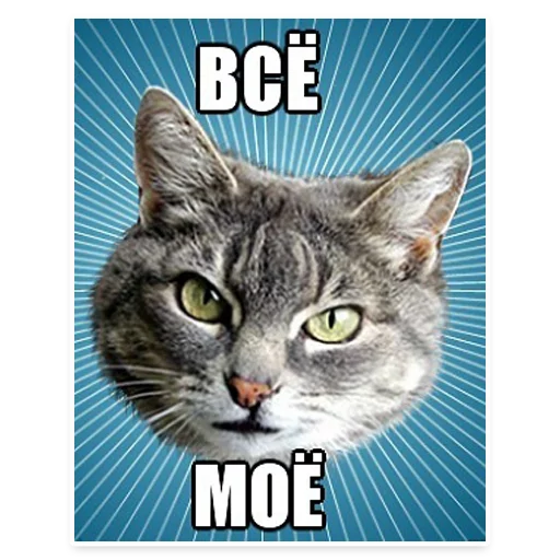 🐱 Стикер «? Мемы с Котом» для Telegram