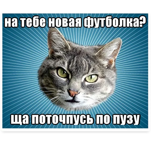 😳 Стикер «? Мемы с Котом» для Telegram