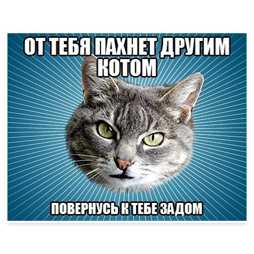 😒 Стикер «? Мемы с Котом» для Telegram
