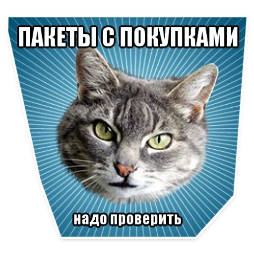 😂 Стикер «? Мемы с Котом» для Telegram