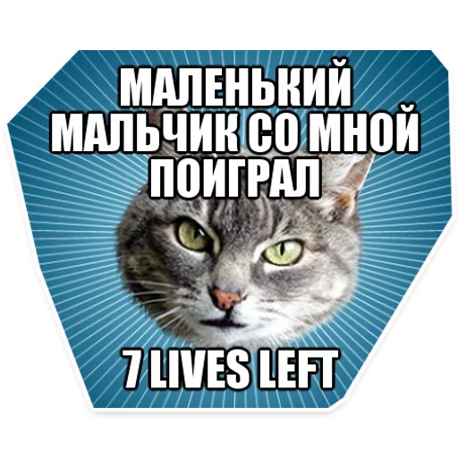😋 Стикер «? Мемы с Котом» для Telegram