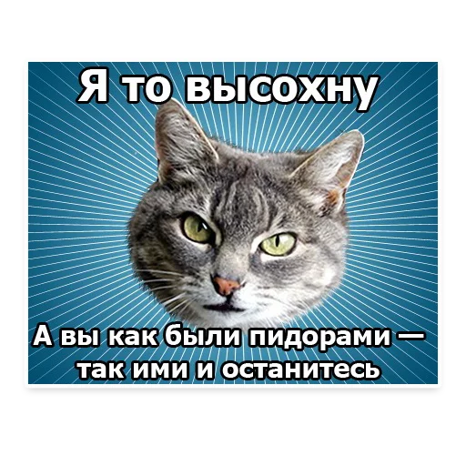 🤦‍♀️ Стикер «? Мемы с Котом» для Telegram