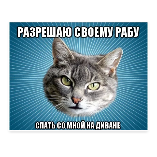 😜 Стикер «? Мемы с Котом» для Telegram