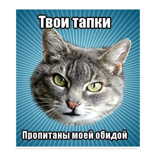 😝 Стикер «? Мемы с Котом» для Telegram