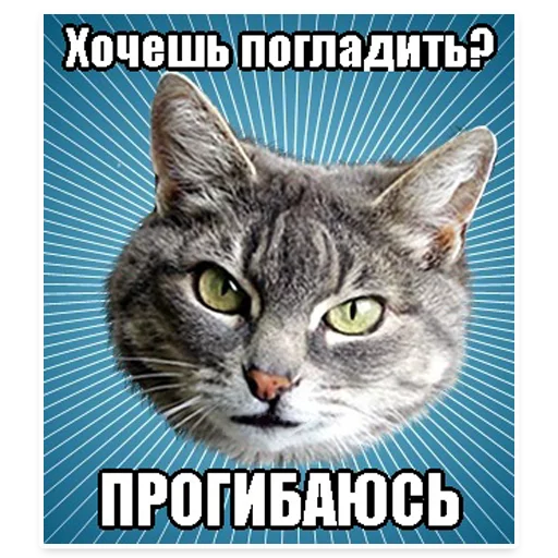 😄 Стикер «? Мемы с Котом» для Telegram