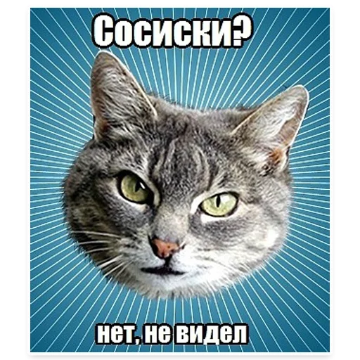 😱 Стикер «? Мемы с Котом» для Telegram