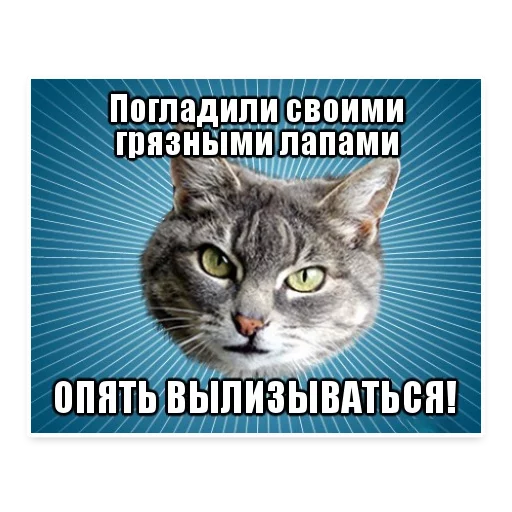 😐 Стикер «? Мемы с Котом» для Telegram