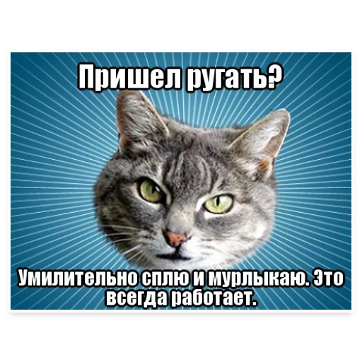 😠 Стикер «? Мемы с Котом» для Telegram