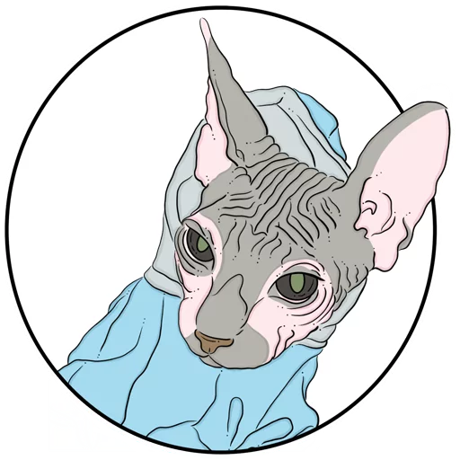 😎 Стикер «Catsы» для Telegram