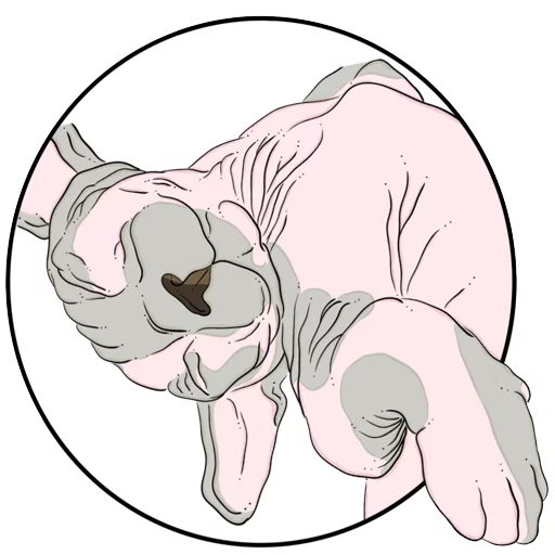 😴 Стикер «Catsы» для Telegram