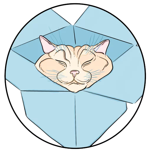 📦 Стикер «Catsы» для Telegram