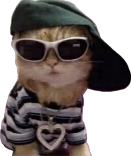 😎 Стикер «catss» для Telegram