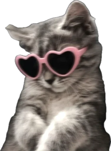 🥰 Стикер «catss» для Telegram