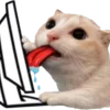 🐈 Эмодзи «Cats» для Telegram