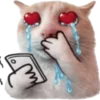 🐈 Эмодзи «Cats» для Telegram