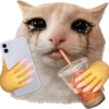 🐈 Эмодзи «Cats» для Telegram
