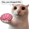 🐈 Эмодзи «Cats» для Telegram